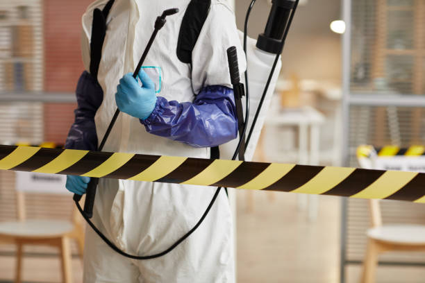 Professional Biohazard technician working in Trufant, MI